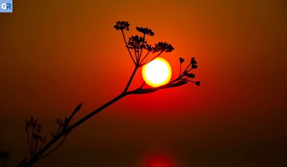 Ηλιακή καταιγίδα θα πλήξει τη Γη: Πόσο επικίνδυνη είναι