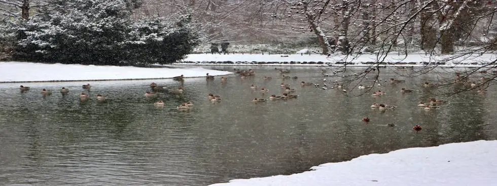 Αγγλικός κήπος του Μονάχου (Englischer Garten)