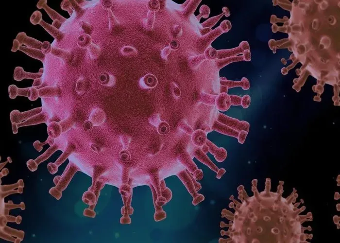 Απίστευτό: 700+ άτομα μολύνθηκαν από Norovirus σε φεστιβάλ στη Στουτγάρδη