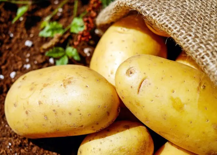 Οι τιμές της πατάτας εκρήγνυνται στη Γερμανία: Αυξήσεις άνω των 50%